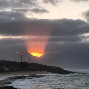 Meet your Posher, Jane